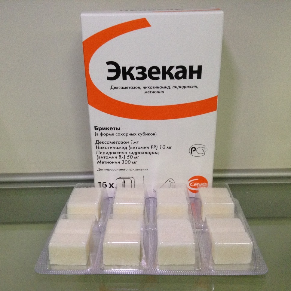Экзекан (таблетки жевательные)